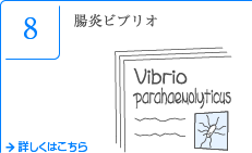 8 腸炎ビブリオ